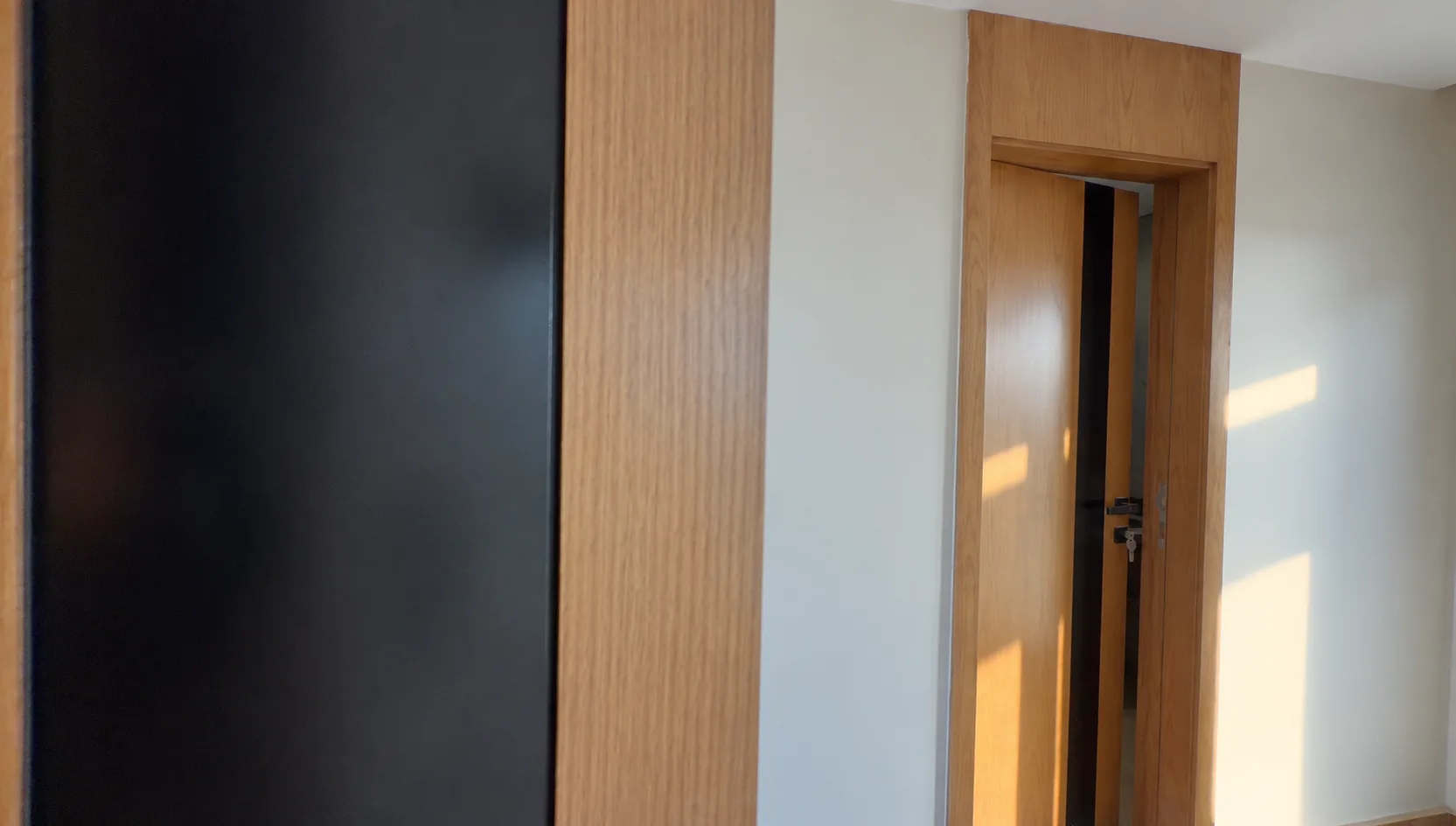 A door with a dark panel in a wood frame, in afternoon sunlight.